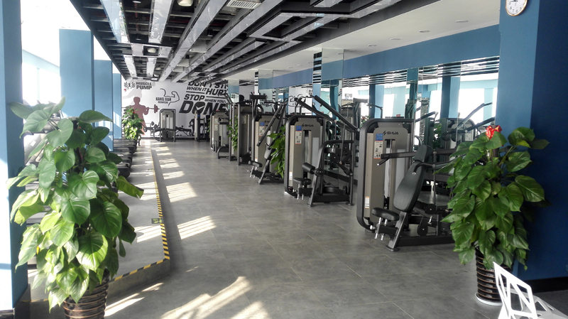 酒店健身房器材,高端健身房器材,室内健身器材-广西壹号娱乐体育健身器材有限公司