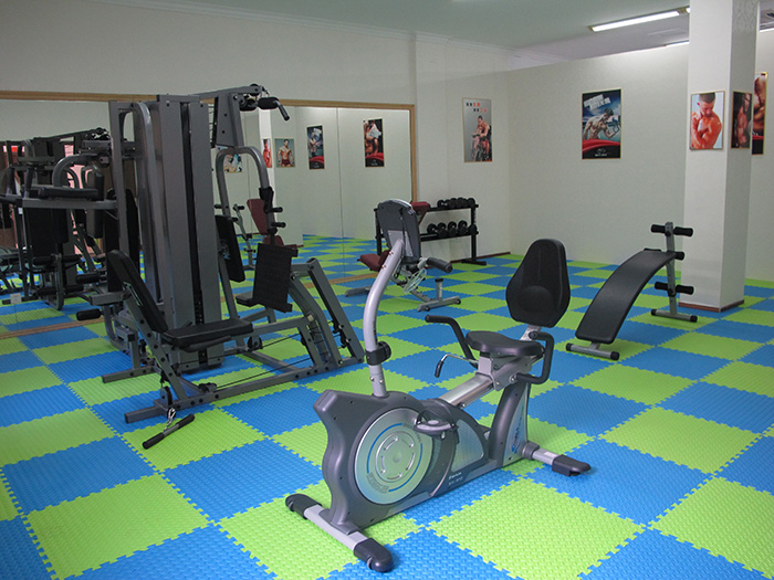 室内健身器材,单位健身器材,健身器材十大品牌-广西壹号娱乐体育健身器材有限公司